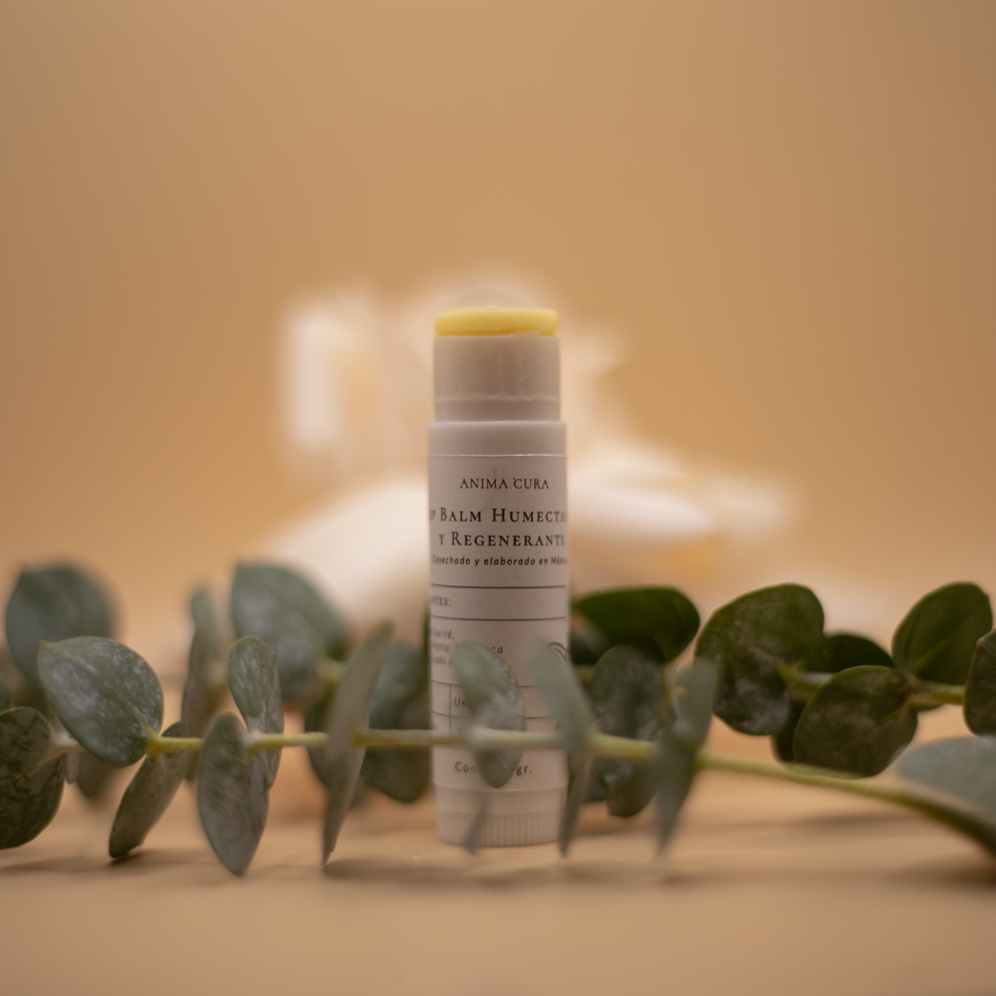Lip Balm Regenerante